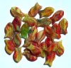 25 15mm Opaque Red, Yellow, and  Green Marble Fish Beads